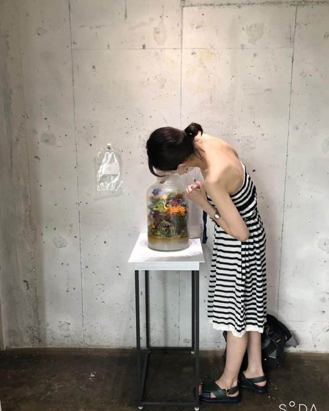 木野園子さんのインスタグラム写真 - (木野園子Instagram)「MIKIKO KAMADA (in)visible forest みきこさん @mozuchangのEXHIBITIONにお邪魔しました🌳 ギャラリーのART FOR THOUGHT @artforthought.ginzaは歩いていると吸い込まれていきそうなオアシスのような空間からはじまって植物が土に還ることについて。 タイミングよくみきこさんからたくさんお話を聞けました。 私は花を生け割と最後まで見とどけていくことが花屋として大切だと感じてお店で働いているときも売れなくなった花をお店に飾ったり持って帰っていましたが今回の展示はそれ以上のことを考えさせられました。 そして、実際にデルフィニウムを瓶に入れさせてもらってコンポストを体験させてもらいました💙どう変化していくのか楽しみです✨ 明日までやってるよー🌈  #flower #EXHIBITION #ARTFORTHOUGHT #MIKIKOKAMADA #visibleforest #コンポスト」8月7日 16時43分 - kinosonoko