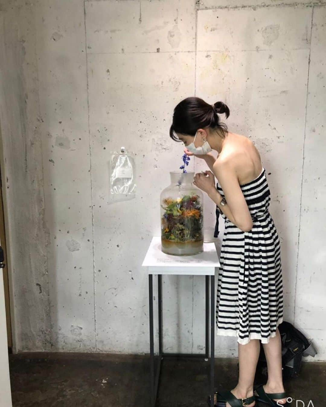 木野園子さんのインスタグラム写真 - (木野園子Instagram)「MIKIKO KAMADA (in)visible forest みきこさん @mozuchangのEXHIBITIONにお邪魔しました🌳 ギャラリーのART FOR THOUGHT @artforthought.ginzaは歩いていると吸い込まれていきそうなオアシスのような空間からはじまって植物が土に還ることについて。 タイミングよくみきこさんからたくさんお話を聞けました。 私は花を生け割と最後まで見とどけていくことが花屋として大切だと感じてお店で働いているときも売れなくなった花をお店に飾ったり持って帰っていましたが今回の展示はそれ以上のことを考えさせられました。 そして、実際にデルフィニウムを瓶に入れさせてもらってコンポストを体験させてもらいました💙どう変化していくのか楽しみです✨ 明日までやってるよー🌈  #flower #EXHIBITION #ARTFORTHOUGHT #MIKIKOKAMADA #visibleforest #コンポスト」8月7日 16時43分 - kinosonoko