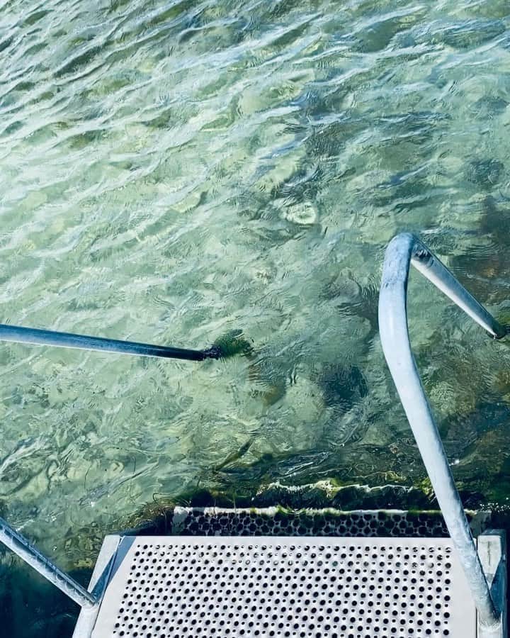 ペニーレ・タイスベックのインスタグラム：「Morning dip 🌊」