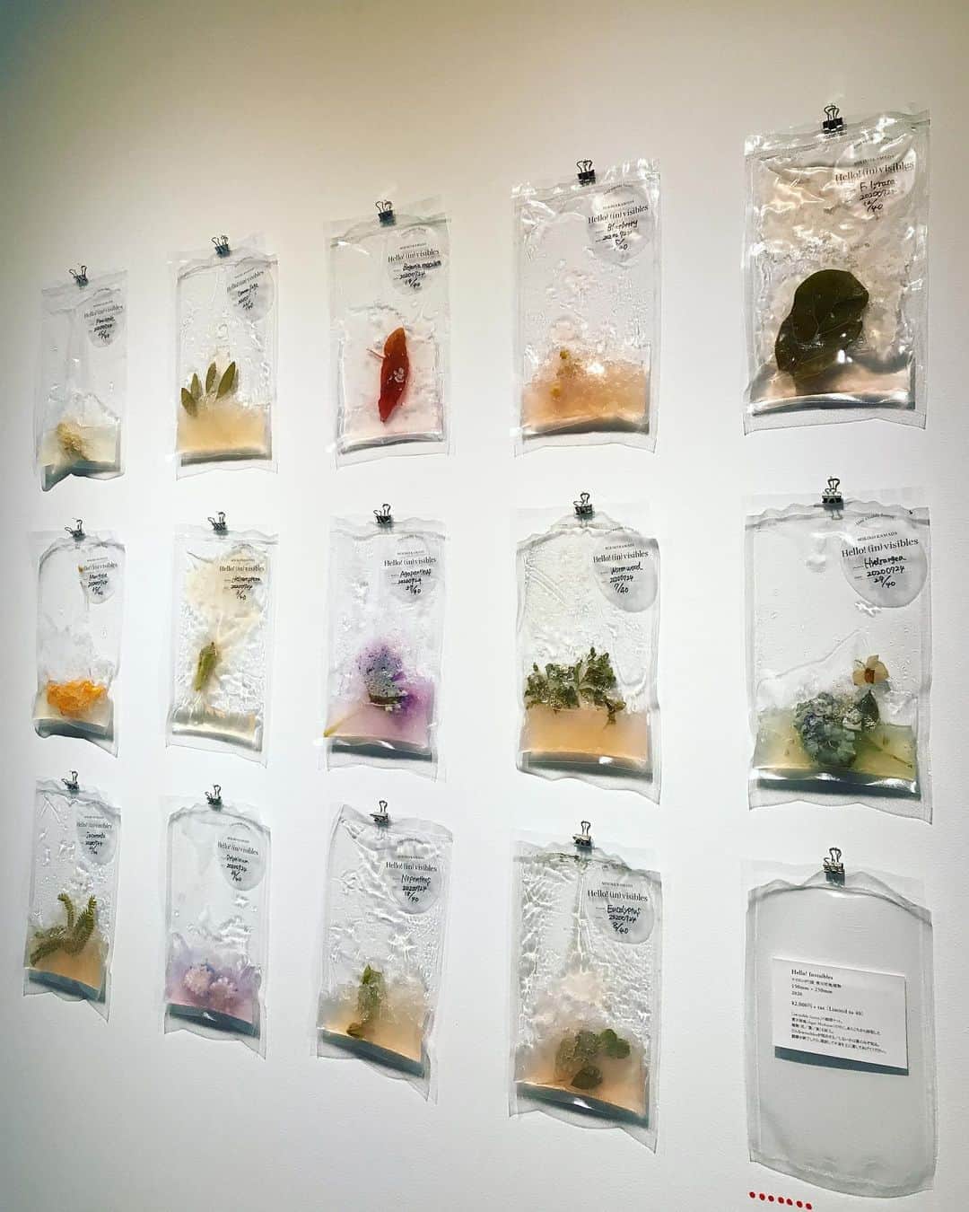 木野園子のグルメインスタ