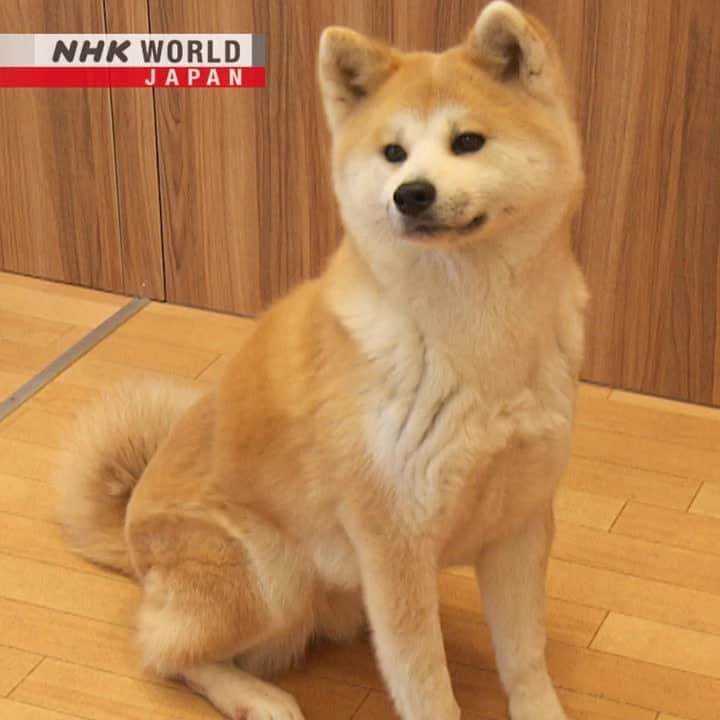 NHK「WORLD-JAPAN」のインスタグラム