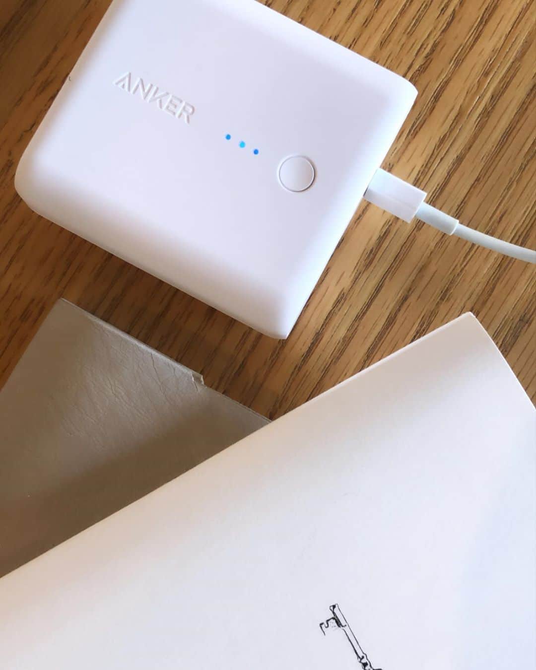 MIHOのインスタグラム：「【普段も使える防災グッズ】  先日あげたソーラー電気の @sonnenglas_jp  に続いて2つ目がANKERの充電器  @anker_jp   これ、@_____884h ちゃんがもっていて即買いデス  過充電もしないのでコンセントで充電しとくと携帯の充電が終わったら、ANKERの方の充電が始まります  USB2つとMACのPC充電できるのもあるので、PCと携帯も一緒に、さらには困った人がいたら各々の充電可能☺︎  しかも急速充電  一つ難点は少し大きいくらいで  けど、この安心感たるや！  私は出かける場所によって小さめの充電器と2つを使い分けていますが、海外や〔遠い目、笑〕出ずっぱりだったり、携帯の充電があまりもたなくなってきたらコレは便利かもです  色も赤とか黒とかあったヨ  #ANKER #普段も使える防災グッズ #防災グッズ  #旅行 #携帯充電器 #携帯 #PC #充電器 #ANKER #急速充電 #モバイルバッテリー #国内旅行 #海外旅行 #日常使い #空港」