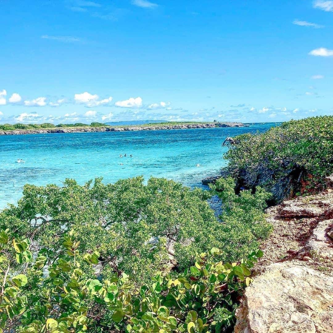 エールフランスのインスタグラム：「Paysage créole, tout simplement.  Creole landscape ☀️  📸 @happy_and_travel_  #AirFrance #EnvieDailleurs #wanderlust #travel #views #Guadeloupe」
