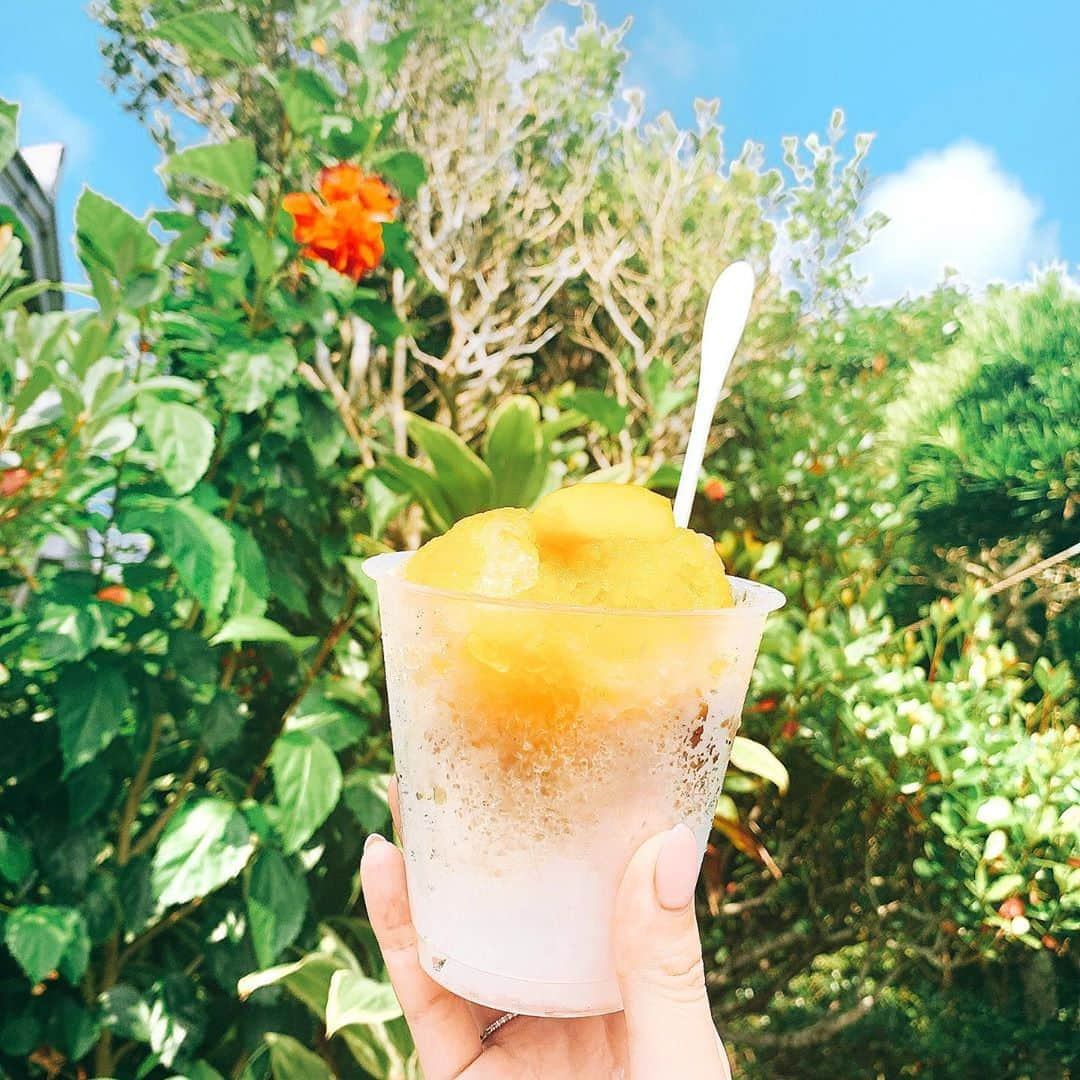 並川花連さんのインスタグラム写真 - (並川花連Instagram)「🌞💦🍧 . 暑くて食べるけど 暑すぎてすぐ溶ける🍧🍧🍧 美味しかったジェラートとかき氷🍧♡」8月7日 17時45分 - kareurn