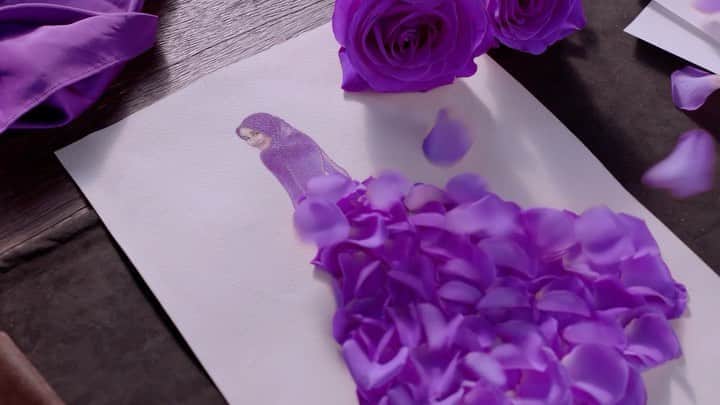 ラウディアシンシアベラのインスタグラム：「Wangi parfume tidak harus menyengat. Seperti wanita indonesia..  yang lembut tapi tetap tangguh💜 Terbaru dari @downyindonesia  "Downy Allure"」