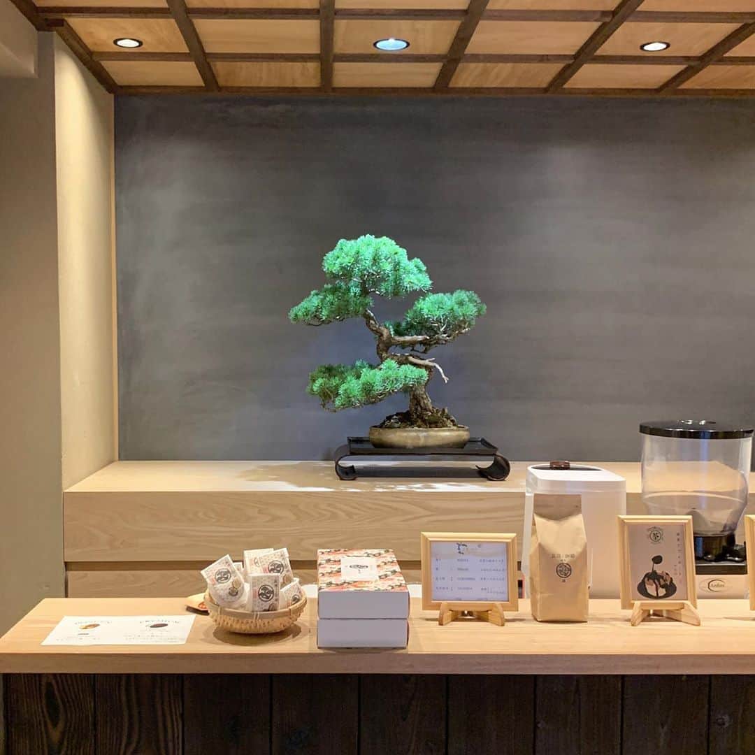 二宮綾海さんのインスタグラム写真 - (二宮綾海Instagram)「📍bongen coffee 毎日暑いねぇ。  #bonsai でもみて涼もうか。  #coffeebreak」8月7日 18時20分 - a36umi
