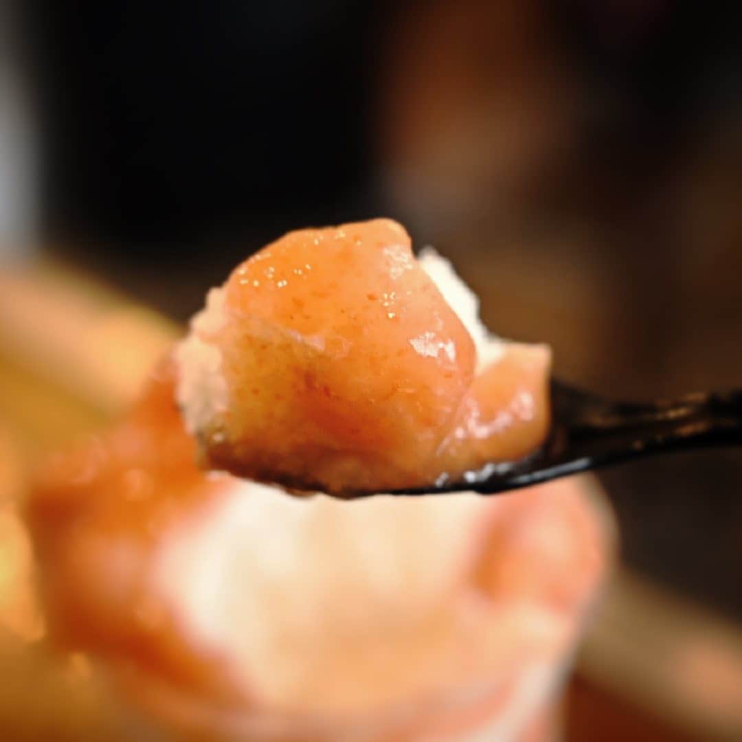アイスマン福留さんのインスタグラム写真 - (アイスマン福留Instagram)「#大森 にある #かき氷専門店 『 #ネコゴオリ 』以前から食べたかった #かき氷 を食べに行ってきた🚶🏻‍♂️🥄🍧✨ 紀州産南高梅を贅沢に5〜6個使用した『 #紀州梅ぜんかい 』を初体験。南高梅の果肉感、甘みと酸味、そして塩味...めちゃくちゃ美味しい！😭 ほか『 #桃ぜんかい 』と『 #ピスタチオはすかっぷ 』もいただきました。かき氷日和。暑い日に食べる一杯は格別！今回はテイクアウトメニューでしたが、次はフルサイズを食べに行こうと思う。こちら #かき氷マニア @kakigori_mania #すもも蜜 のおすすめ店。#うめぼし 好きは是非一度！🙋🏻‍♂️ #shavedice #saltedplum #japanesefood #tokyoshavedice #necogoori #omori」8月7日 18時45分 - iceman_ax