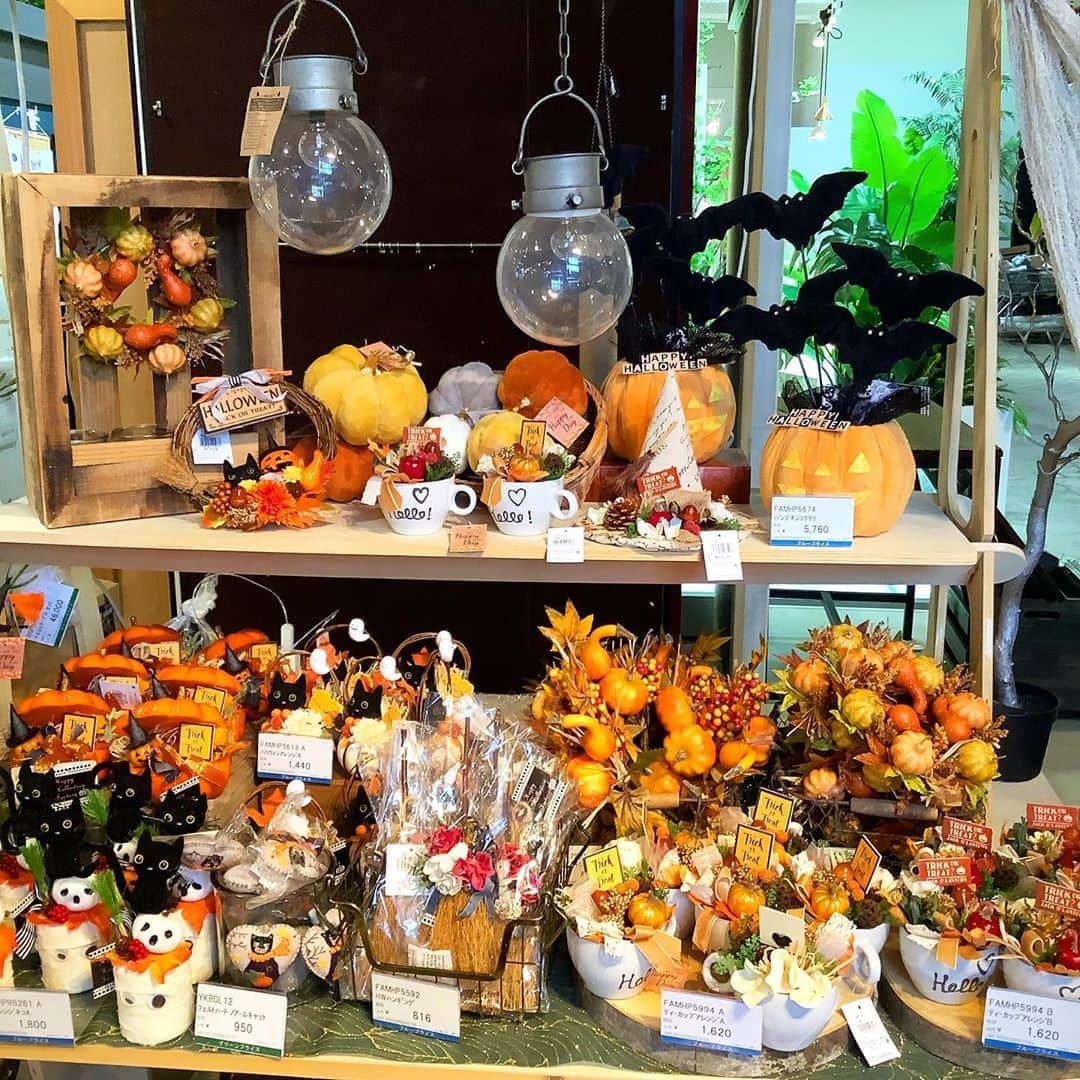 横浜ディスプレイミュージアムのインスタグラム：「ハロウィン第3弾入荷のお知らせ！ ✳︎ 横浜ディスプレイミュージアムでは早くもハロウィン商品が多数入荷いたしております。 ✳︎ 今回はカボチャベースのアレンジやファブリック素材が可愛らしいパンプキンアイテムなどが入荷しました🎃 ✳︎ 是非、ご覧になってみてください。 ✳︎  #横浜ディスプレイミュージアム #株式会社ポピー #横浜 #ディスプレイ#アーティフィシャルフラワー #フラワーアレンジメント #フラワーデザイン #インテリア雑貨 #インテリア#インテリアコーディネート#スタイリスト#装飾#デコレーション  #花のある暮らし #花好きな人と繋がりたい #display #yokohama #flowerarrangement #interiordesign #artficialflower #flowerstagram#ハロウィン#HALLOWEEN#カボチャ」