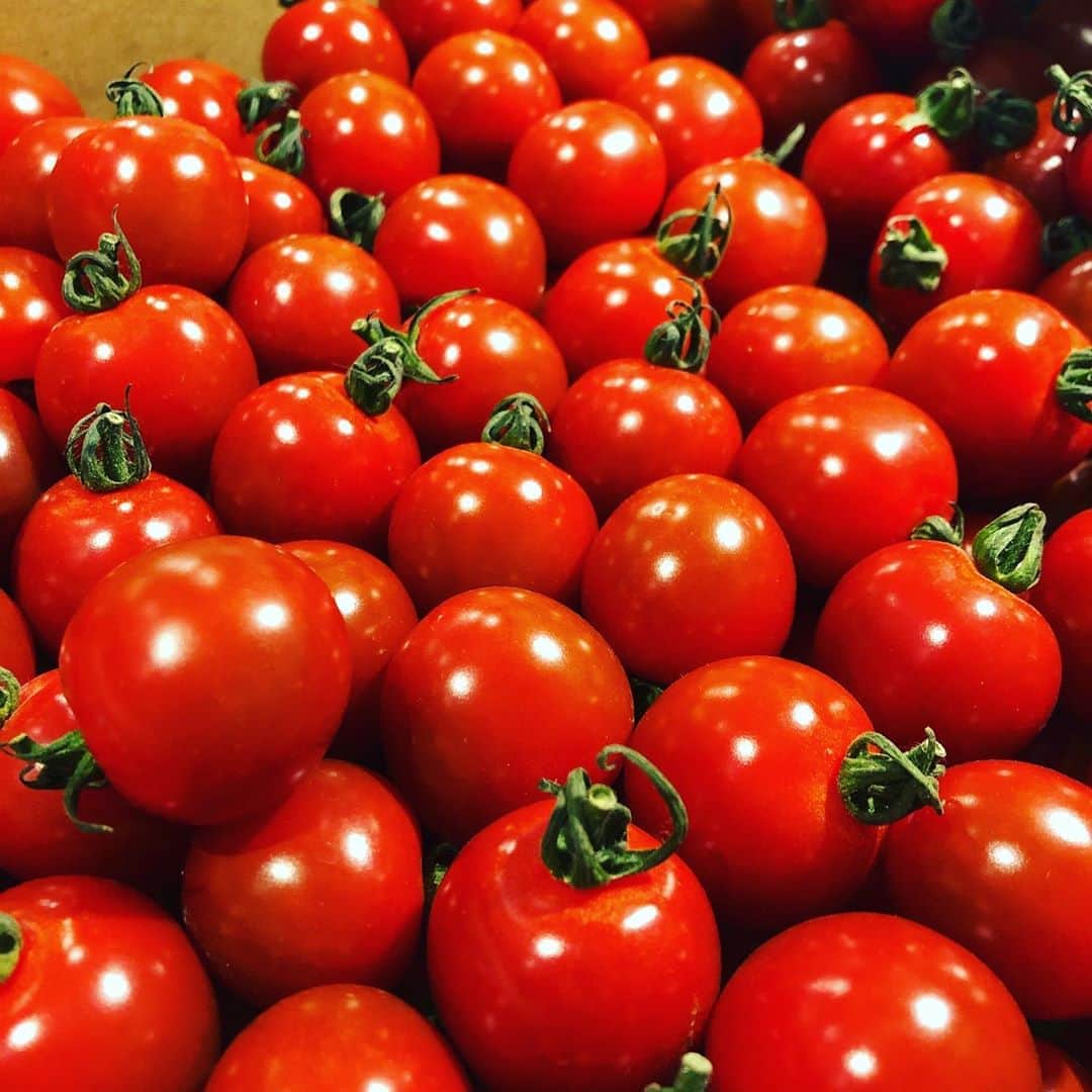 サルヴァトーレクオモ小矢部のグルメインスタ