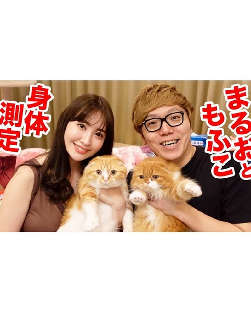 小嶋陽菜さんのインスタグラム写真 - (小嶋陽菜Instagram)「なんと！今回のYouTube動画は、、🧡﻿ ヒカキンさんとコラボ動画です😎🐱🎉✨﻿ ﻿ ヒカキンTVではヒカキン宅にお邪魔して、﻿ 大好きなまるおともふこに初対面したコジキンTV😂！！﻿ 私のチャンネルでは、ヒカキンさんがけむしに会いに私のお家にきてくれました🙏✨﻿ ﻿ ヒカキンさんには初めてお会いしたのですが、ずっと動画でみてきたので、﻿ この業界で仕事をしてきて久しぶりに、﻿ わぁ〜本物だ〜！って気持ちになりました😂﻿ ﻿ 同世代のスーパースター！お会いできて、たくさんお話しして、とっても刺激になりました🙏﻿ いつもみているヒカキンTVの世界に私がいてとっても不思議な気持ち..🥺💭🤍 撮影も、楽しかったー🐈🥖﻿ ﻿ ぜひ！どちらの動画もチェックしてくださいね👏🏻」8月7日 19時38分 - nyanchan22