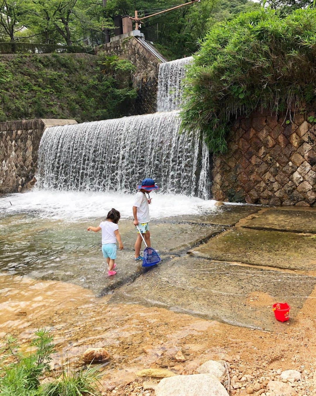 林香里さんのインスタグラム写真 - (林香里Instagram)「短い夏休みᙚᵗᵃʳᵗ🍉🌻🎐 最近は、たびたびお気に入りの遊び場所。 とにかく川の水が綺麗で冷たいから 涼しくて気持ち良いっ😌😆  自然いっぱいだから生き物見つけたり 大人も子供も夢中になって思いっきり遊べる💯  おかげで、すでに、みんな丸焦げで👧🏽👦🏽👩🏽🤚🏽  #family#kids#love#mama#mamalife」8月7日 19時38分 - kaori_hayashi1203