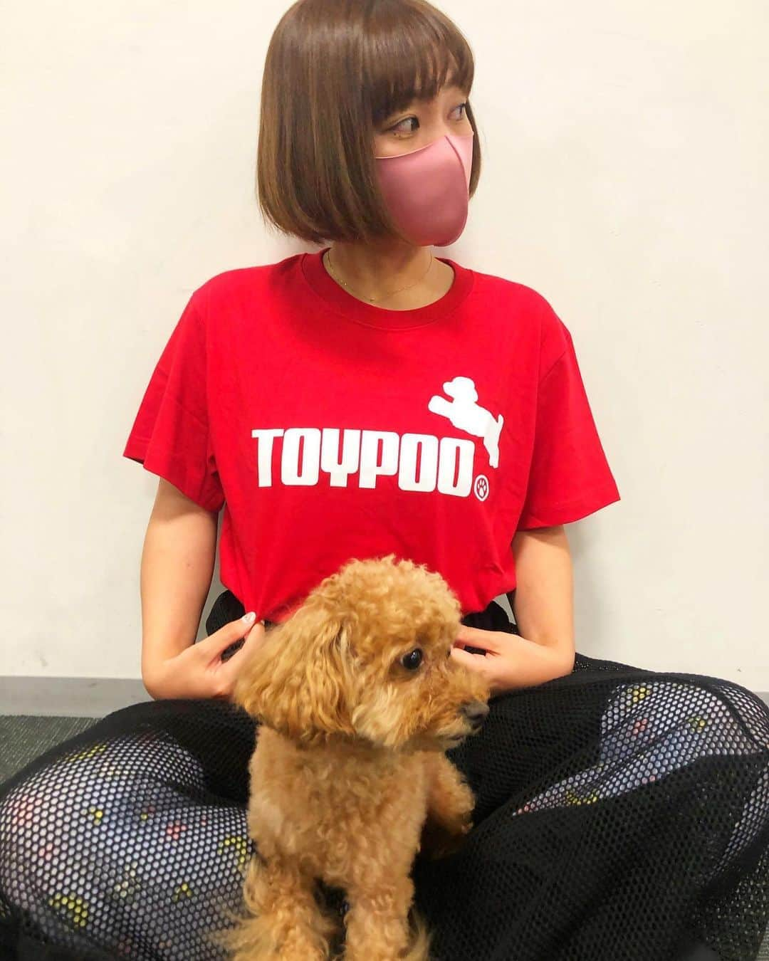 近藤夏子さんのインスタグラム写真 - (近藤夏子Instagram)「あっちから誰が来たん？？？？ 笑笑 TOYPOO Tシャツ✨ ABCラジオよなよな水曜日 @abcyonayona でご一緒させていただいてる、北村アナから誕プレで🎁 せっかくなのでTOYPOOの #アンちゃま と❤️  #愛犬 #トイプードル ＃トイプー #tシャツ #誕プレ #センス #よく見たらセーラームーンの着圧タイツ #マスクも誕プレ #皆様ありがとう」8月7日 19時44分 - kondonatsuko