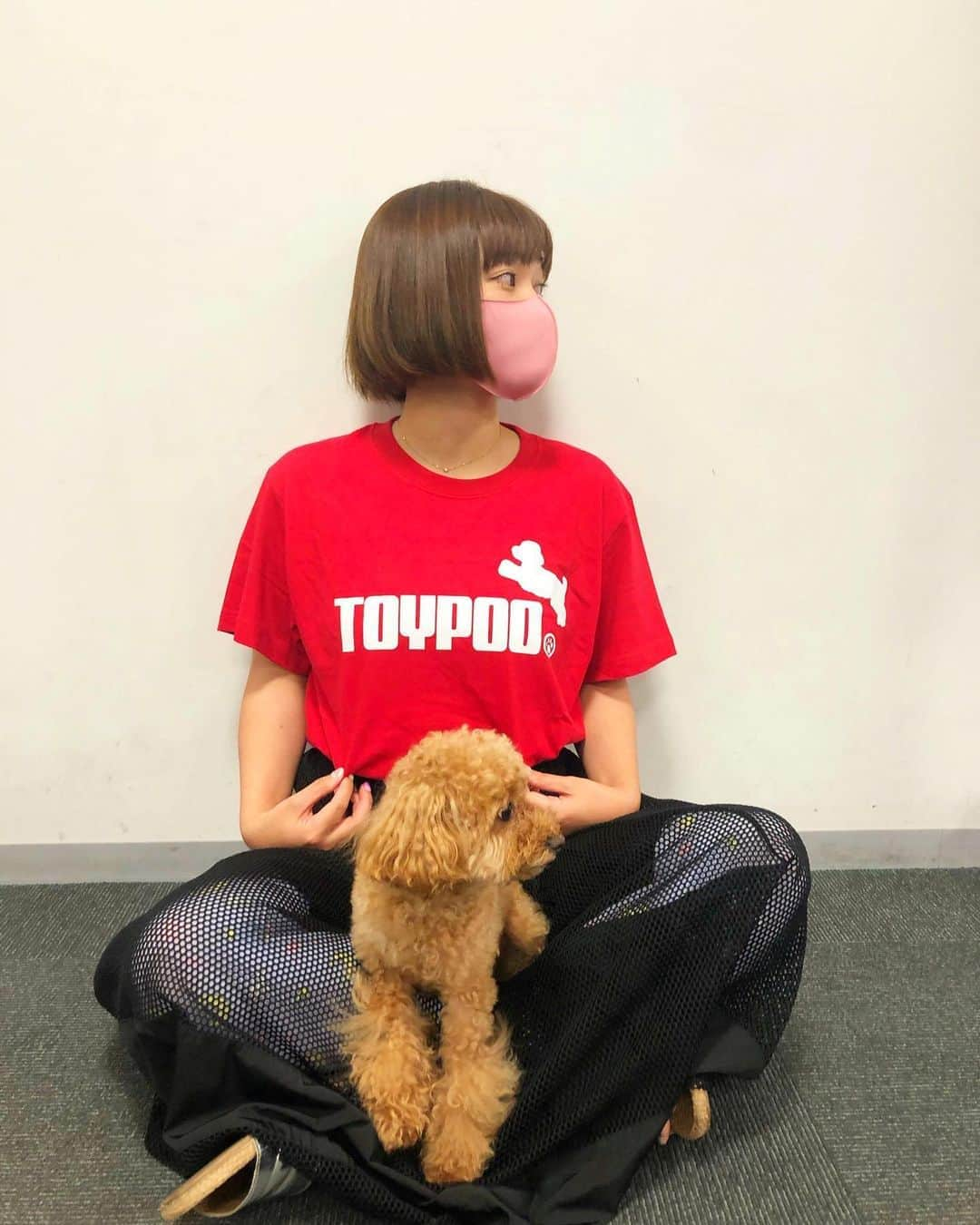 近藤夏子さんのインスタグラム写真 - (近藤夏子Instagram)「あっちから誰が来たん？？？？ 笑笑 TOYPOO Tシャツ✨ ABCラジオよなよな水曜日 @abcyonayona でご一緒させていただいてる、北村アナから誕プレで🎁 せっかくなのでTOYPOOの #アンちゃま と❤️  #愛犬 #トイプードル ＃トイプー #tシャツ #誕プレ #センス #よく見たらセーラームーンの着圧タイツ #マスクも誕プレ #皆様ありがとう」8月7日 19時44分 - kondonatsuko