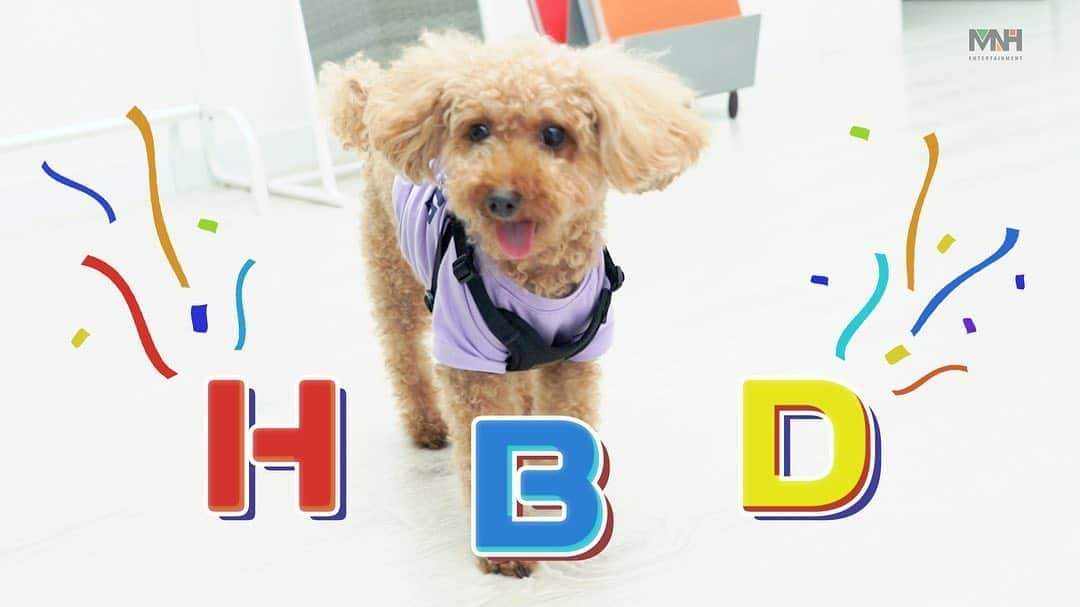 チョンハさんのインスタグラム写真 - (チョンハInstagram)「📹 [Special Clips] 2020 HAPPY BAMBI DAY 🐶🎂 ⠀⠀⠀⠀⠀⠀⠀⠀⠀⠀⠀⠀⠀⠀⠀⠀⠀⠀⠀⠀⠀⠀⠀⠀⠀⠀⠀⠀⠀⠀⠀⠀⠀ ▶️ https://bit.ly/3ijjqwl ✌🏻 https://bit.ly/33tqzWN ⚡️ https://bit.ly/3gBl5wZ ⠀⠀⠀⠀⠀⠀⠀⠀⠀⠀⠀⠀⠀⠀⠀⠀⠀⠀⠀⠀⠀⠀⠀⠀⠀⠀⠀⠀⠀⠀⠀⠀⠀ #밤비 #BAMBI #청하 #CHUNGHA #별하랑 #BYULHARANG #밤비DAY 💚💙💜」8月7日 20時07分 - chungha_official