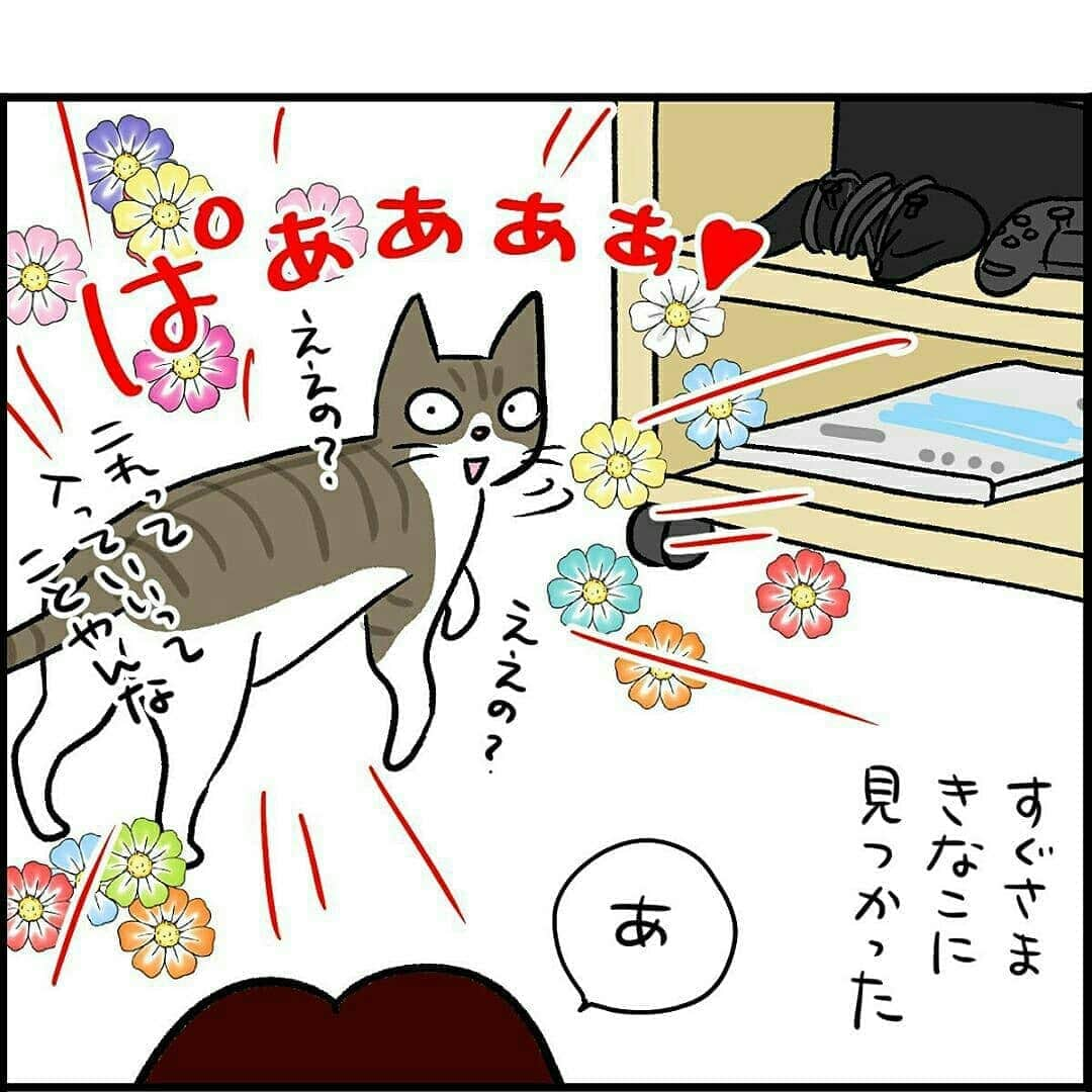 猫壱（ねこいち•ネコイチ）さんのインスタグラム写真 - (猫壱（ねこいち•ネコイチ）Instagram)「【#猫マンガ 】 ▫ 空きスペースを狙う影💨💨 ▫ ▫ #猫あるあるですね😁 ▫ ▫ :::::::::#猫壱 ::::::: 猫壱は猫と人との暮らしの向上を目指して猫グッズの開発に取り組んでいます♪ ▫ 気になる方は @necoichicojp をチェックしてみてくださいね！ ▫ ▫ 【Special thank-you @86palpal 💕💕💕💕】」8月7日 20時16分 - necoichicojp