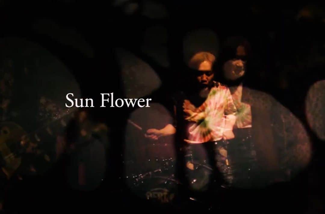 たちばな哲也さんのインスタグラム写真 - (たちばな哲也Instagram)「[SPARKS GO GO] 「SunFlower」MV公開しました。  ・SPARKS GO GO Official YouTubeにて https://youtu.be/zzdgZKzhwEc  #sggjp」8月7日 20時43分 - itecchi