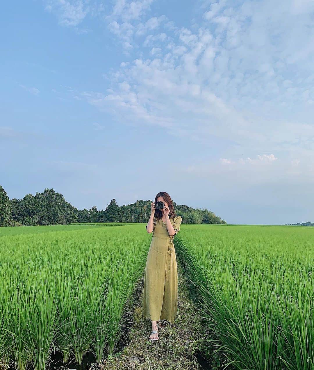 のインスタグラム：「先日JAなす南さんの撮影で栃木へ🌾﻿ 最後に行った広い田園と青空〜夕陽の移り変わりがとても綺麗でした📷🌇﻿ #ja #jaなす南 #栃木」