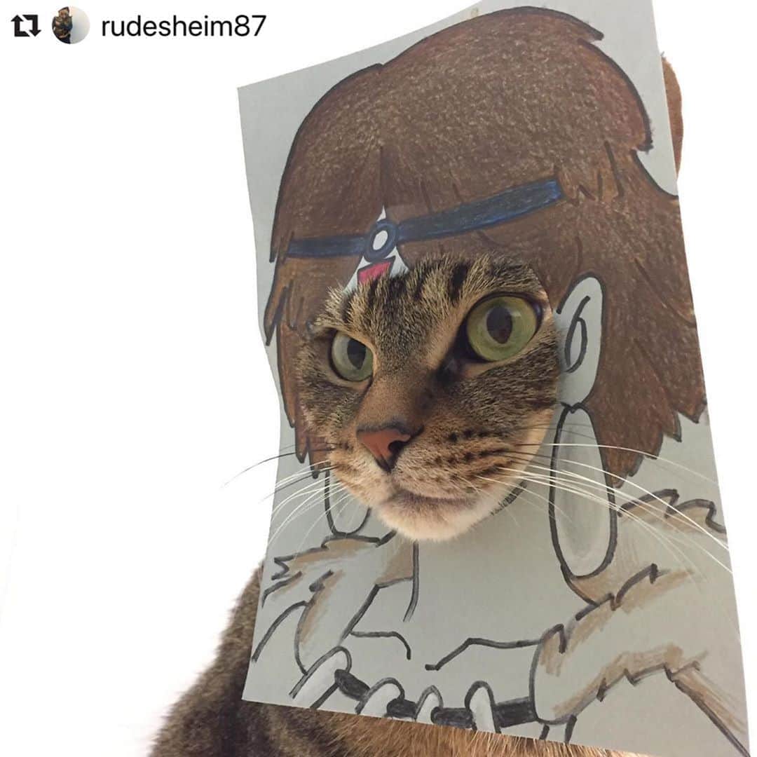 ねこさんのインスタグラム写真 - (ねこInstagram)「【#ねこは人を笑顔にする】❣️ あっ…‼️サン‼️ 個人的に映画中の一番好きなシーンは、『おまえにサンが救えるか‼️‼️』のところです😂🙌🏻笑 @rudesheim87 さん、ありがとう🥰⚡️ #Repost @rudesheim87 with @make_repost ・・・ Kibby played Princess Mononoke wild and dignified look brilliantly.👏﻿ #猫 #cat ﻿ #保護猫 #adoptdontstop﻿ #にゃんこ #にゃんすたぐらむ #にゃんだふるらいふ﻿ #catstagram #catlover #instacat #catlife ﻿ #キジトラ #キジトラ男子 #キジトラ男子部﻿ #キビズカくん﻿ #ジャパニーズボブテイル﻿ #猫好き﻿ #猫のいる暮らし #猫との暮らし﻿ #猫好きさんと繋がりたい﻿ #ねこは人を笑顔にする﻿ ﻿ #猫顔出し﻿ #もののけ姫 #サン #石田ゆり子 さん﻿ ﻿ 今日の顔出しはスタジオジブリの映画「もののけ姫」のサンです！キビィくんがチャレンジしてくれました😺✨﻿ ﻿ 山犬に育てられただけあってワイルドでキリリとして、そして美し〜い❣﻿ ﻿ ️キビィくんはサンの生い立ちや性格を理解したのか見事なこの表情👏4歳男子がここまで出来るとは！撮影する手が震えました😆💦﻿ ﻿ 夏休みにいつもやる金曜ロードショーのジブリ特集、今年はトトロとコクリコ坂とアリエッティ！楽しみだね！お風呂も済ませてアイス🍧食べながら見たいね😺😽」8月7日 21時21分 - neko_magazine