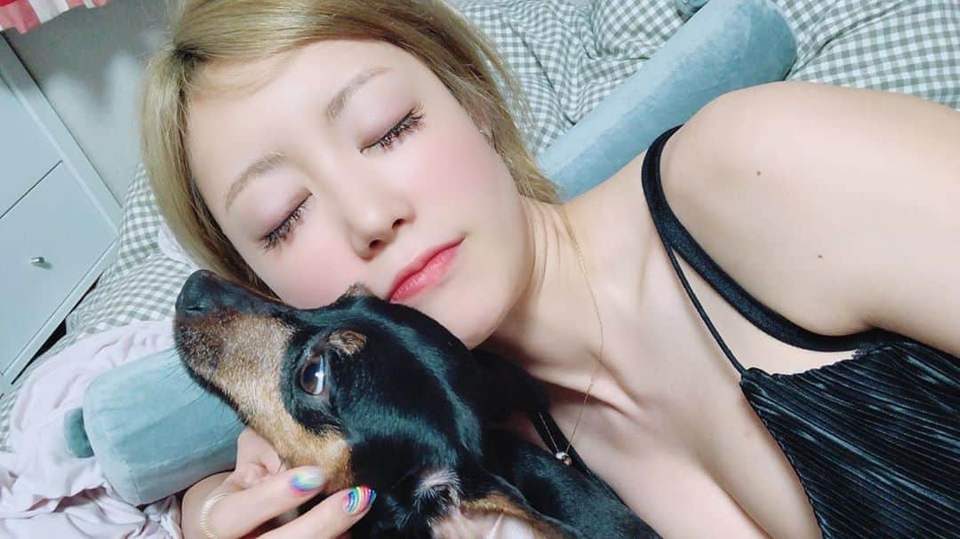 琥珀うたさんのインスタグラム写真 - (琥珀うたInstagram)「. . 相変わらずカメラ嫌いなもずくさん🐕 . . . #miniturepinscher  #ミニチュアピンシャー  #ミニチュアピンシャーブラックタン  #ミニピン  #ミニピンブラックタン  #犬 #犬のいる暮らし  #dog  #dogstagram  #犬のいる生活  #カメラ嫌い犬」8月7日 21時15分 - uta0214khk