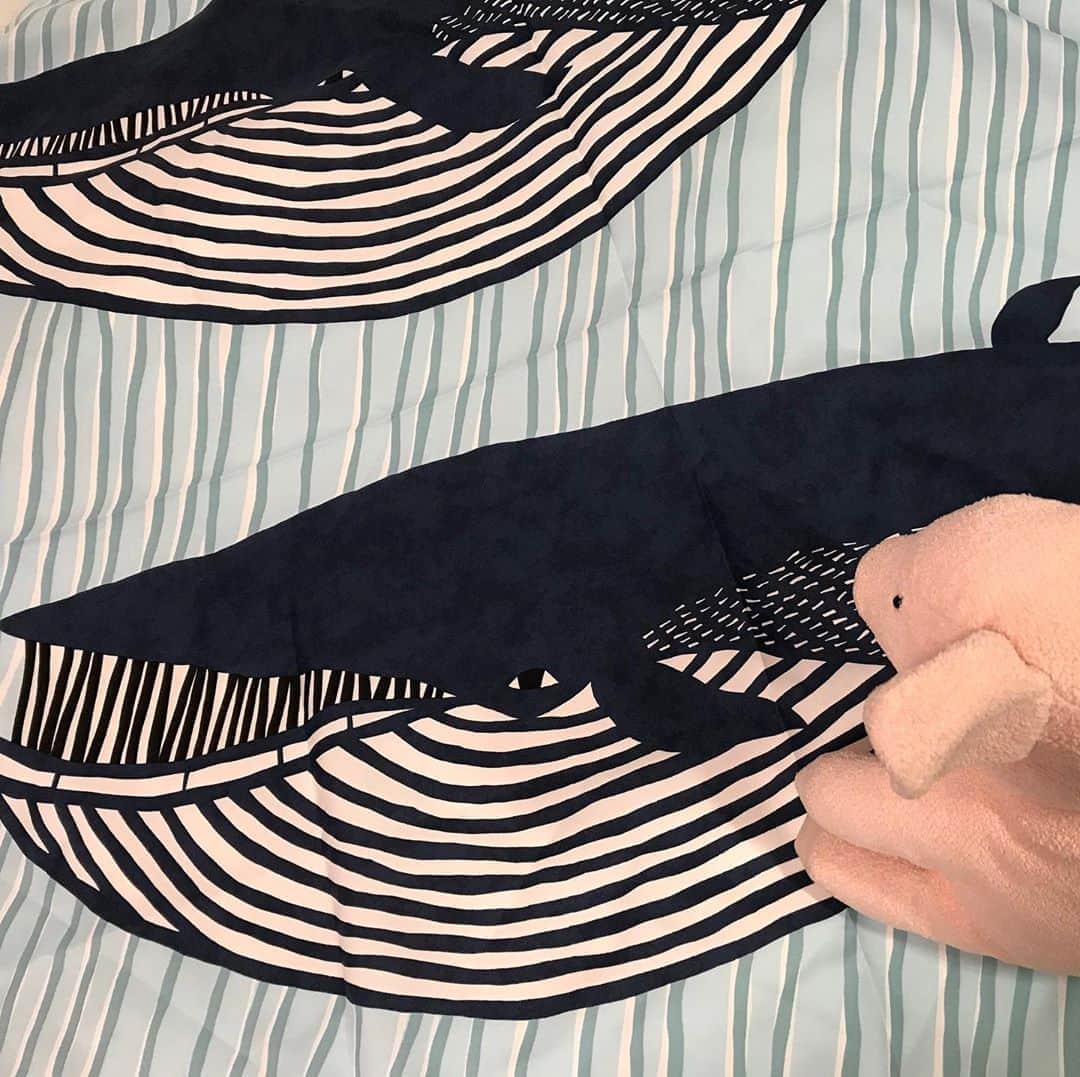 矢崎存美さんのインスタグラム写真 - (矢崎存美Instagram)「撥水性のある風呂敷をお出かけの際のエコバッグ代わりに使おうと購入しました。寒い時に羽織ったり、膝にかけたり、雨避けにもなります。クジラ柄かわいい。 #ぶたぶた #山崎ぶたぶた #矢崎存美 #風呂敷 #むす美 #クジラ」8月7日 21時40分 - yazakiarimi