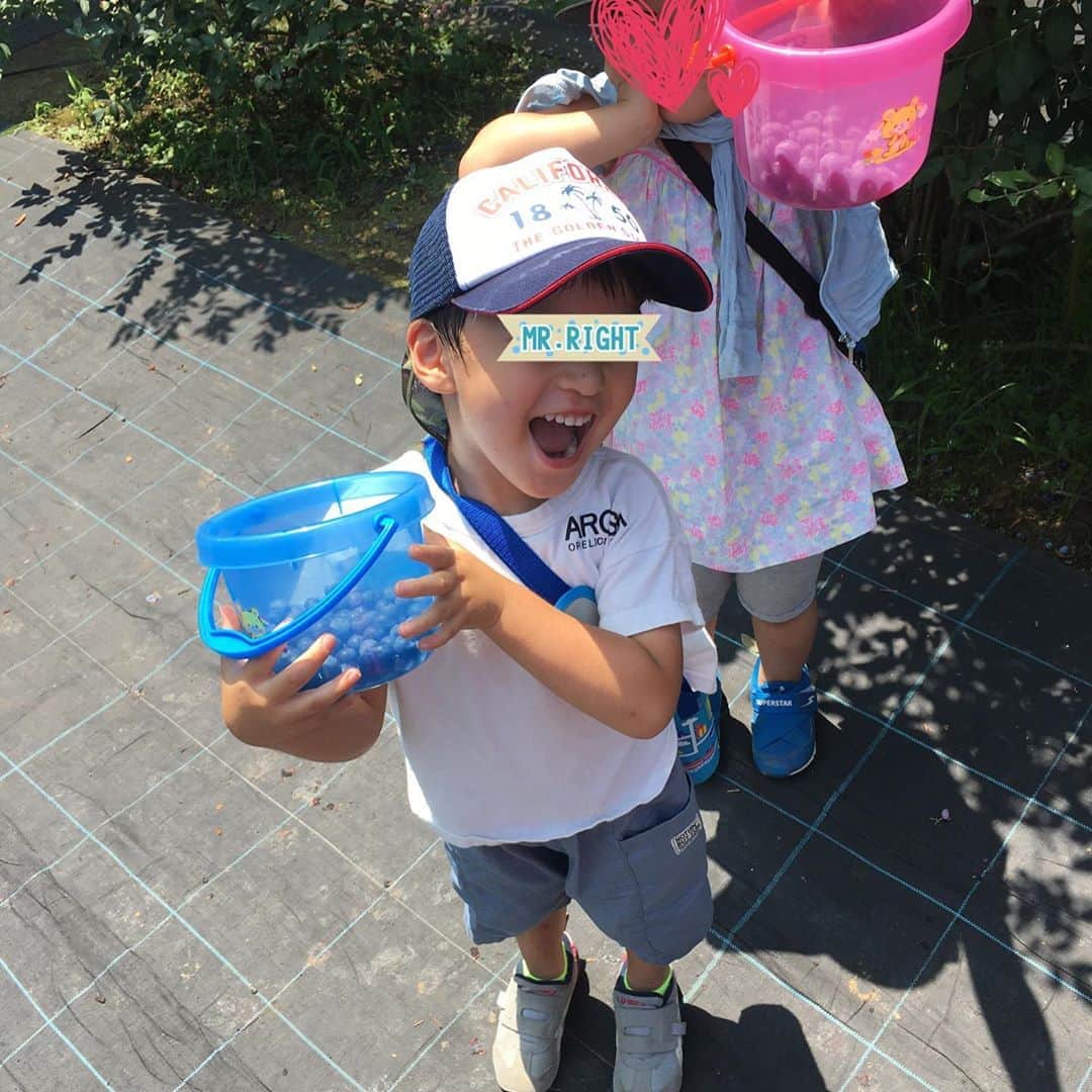 蒲生麻由のインスタグラム：「夏の思い出づくり🏝﻿ ﻿ 都内でブルーベリー狩りを楽しめると知り、﻿ 早速行ってきました❣️﻿ 平日だからか、終わりかけの時間帯だからか、﻿ ほぼ貸し切り状態‼️﻿ 大人も子供も楽しめるし、﻿ 甘くて美味しいブルーベリーが﻿ スーパーよりも安く買えるので大満足❣️﻿ 朝から大はしゃぎでした🤩﻿ ﻿ #都内で #ブルーベリー狩り #夏の思い出 ﻿ #甘くて美味しいブルーベリー ﻿ #今年の夏は近場で思い出づくり﻿ #mamalife #babyboys #熱中症注意」