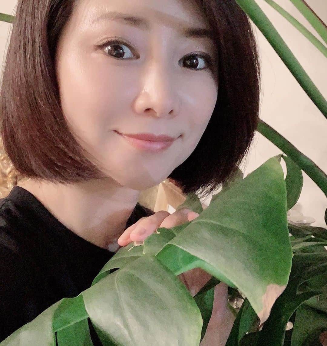 水谷雅子さんのインスタグラム写真 - (水谷雅子Instagram)「観葉植物のモンステラ🌴 名前の通りモンスターのように大きくて変わった葉っぱですよね。 でも雰囲気があって好きです☺️ 南国を感じさせる植物ですよね🌴🌺 乾燥や日陰に強くて丈夫なので初心者でも育てやすいですよ👍✨ ちなみにクッションの柄もモンステラ😉 #観葉植物#モンステラ#南国#ハワイアン #癒しの植物 #水谷雅子#水谷雅子beautybook50の私」8月7日 22時44分 - mizutanimasako