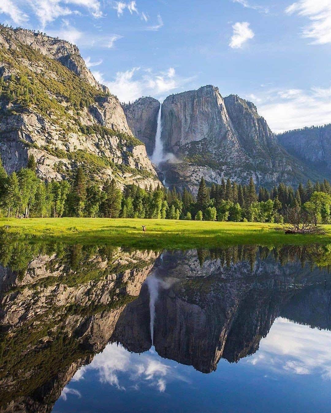 Discover Earthさんのインスタグラム写真 - (Discover EarthInstagram)「" Oh Yosemite 🤤 ⛰ 🇺🇸 Photo 1: @emilyventures  Photo 2: @torrey_merritt  Photo 3: @markian.b  Photo 4: @jordankudla  Photo 5: @settle.on.the.mark.photography  Photo 6: @adamtphotos  " 🇺🇸 #discoverYosemite with @earthfocus  #yosemite #nationalparks #usa」8月7日 23時00分 - discoverearth