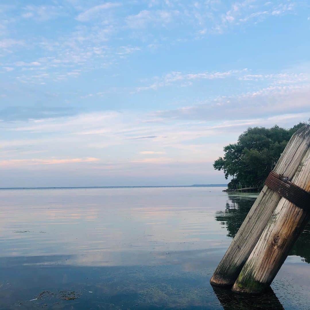 レイチェル・リー・クックのインスタグラム：「Lookin good, Wisconsin 💙」