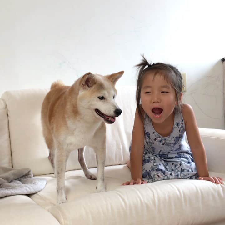 柴犬リリコのインスタグラム：「Saturday morning🧒🏻🐶🌺」