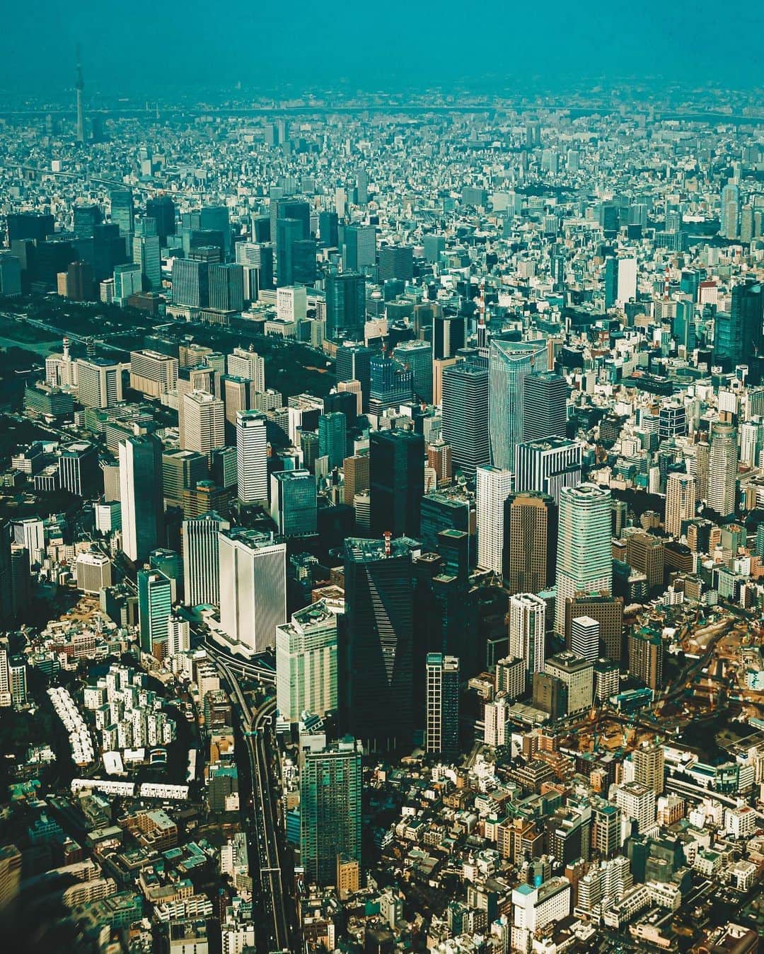 山中海輝さんのインスタグラム写真 - (山中海輝Instagram)「Loved seeing the full view of the city of Tokyo .」8月8日 9時12分 - kaikiyamanaka