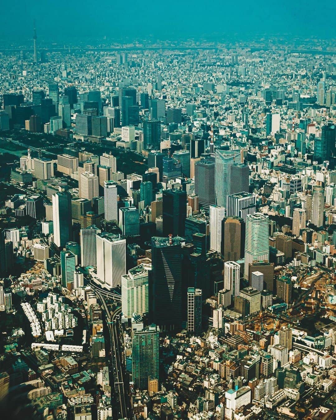 山中海輝のインスタグラム：「Loved seeing the full view of the city of Tokyo .」