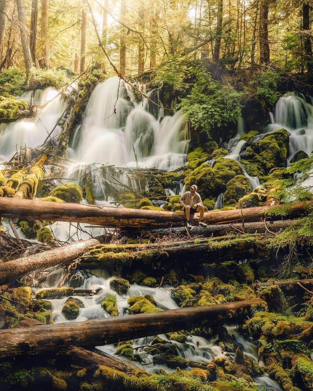 CANON USAさんのインスタグラム写真 - (CANON USAInstagram)「"After driving for over 8 hours through the night from the San Francisco Bay Area to Umpqua National Forest in Oregon, it was a relief to finally see some light shining through the trees and being able to hear fresh flowing water from my car window. We parked and got out of our car, and we immediately fell in love with what was standing in front of us." #MyCanonStory  Swipe to see the photographer! ➡️  Photo Credit: @avecnicole Camera: #Canon EOS 6D Lens: EF 24-105mm f/4L IS USM Aperture: f/9 ISO: 100 Shutter Speed: 0.4 sec Focal Length: 40mm」8月8日 0時56分 - canonusa