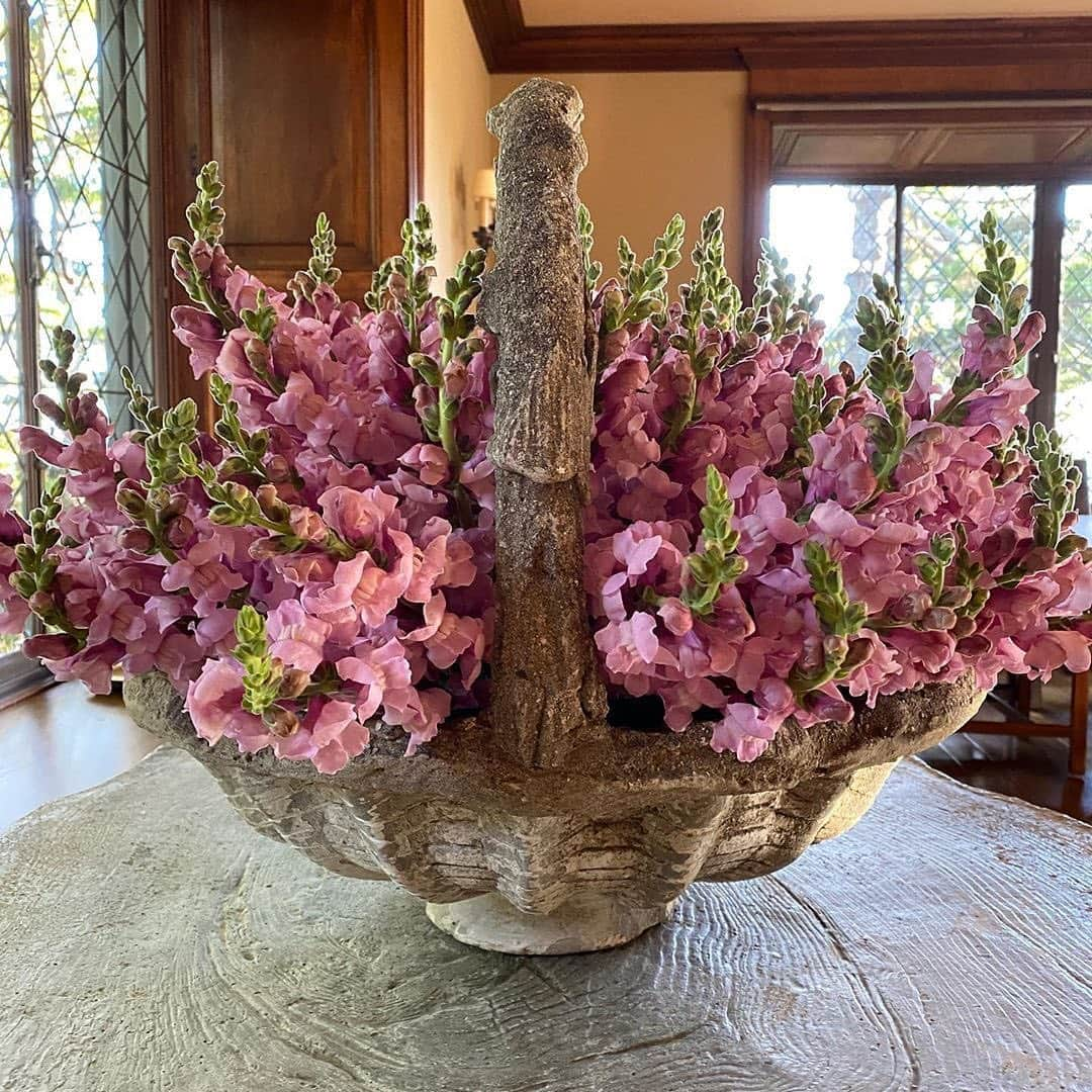 マーサ・スチュワートさんのインスタグラム写真 - (マーサ・スチュワートInstagram)「The best part of having your own garden? Getting to make arrangements to place around your home! Check out these beautiful arrangements made by @marthastewart48’s longtime friend and executive director of design @seenbysharkey. “Kevin’s been at it again. Flowers everywhere for our enjoyment! Lilies and snapdragons. So artfully arranged and placed in strategic places in our large beautiful rooms here at Skylands. The lilies are fragrant and the snapdragons the best we’ve ever had thanks Wendy and Mike for growing them,” says Martha. #regram via @marthastewart48」8月8日 3時05分 - marthastewart