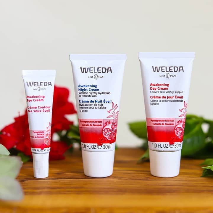 Weledaのインスタグラム：「An eye cream, day cream, and night cream are three products you can't go without! Leave a ❤️ if you have all three! #WeledaSkin」