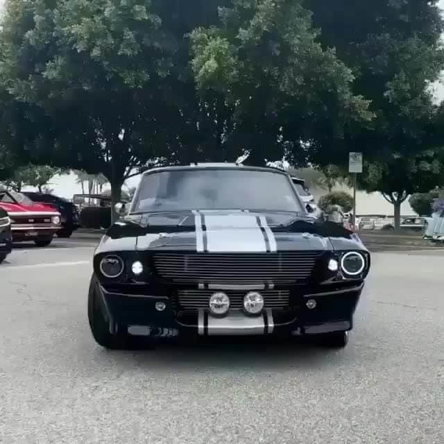 Classics Dailyのインスタグラム