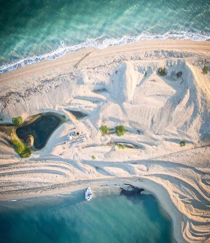 Costa Sunglassesのインスタグラム：「Scouting for Spottails. 📷: @j.hodgeproductions #SeeWhatsOutThere #BornOnTheWater」