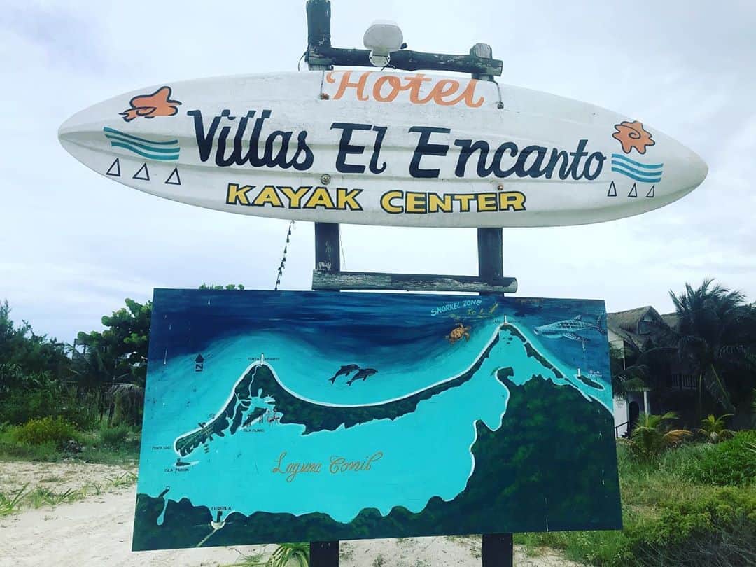のインスタグラム：「We thought it would be fun to take a tiny boat on an 8 hour round trip on the open ocean to swim with the #WhaleSharks We encountered around 10 of the slippery lil suckas in the emerald green waters off the North East Coast of #Holbox  . Lessons we learned today: 1/ it’s not fun  2/ whale sharks are a lot smaller than you may imagine  3/ whale sharks don’t care about humans or boats  4/ the inside of a whale sharks mouth glows kinda #bioluminescent  5/ it’s impossible to properly photograph a whale shark unless you are @natgeo  6/ leaving official Mexican waters is dumb  7/ motion sickness is REAL 8/ A group of sharks is called a gam, herd, frenzy, school or shiver 9/ open ocean swimming is scary and hard work  10/ snorkeling is fun」