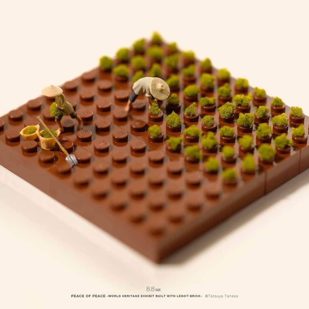 田中達也さんのインスタグラム写真 - (田中達也Instagram)「⠀ “Brick + Broccoli = Brickli” ⠀ “ブロック”リーを収穫中 ⠀ #レゴ #LEGO #ブロッコリー ⠀ この作品の実物を PIECE OF PEACE『レゴ®︎ブロック』で作った世界遺産展 Part-4 にて展示します。 本日8月8日より名古屋PARCOにて開催！ ⠀ ───────────────── 《EXHIBITION info》 ⠀ 【MINIATURE LIFE展 in 函館】 MINIATURE LIFE EXHIBITION in Hakodate until: Aug 16, 2020 #MiniatureLife展 #ミニチュアライフ展 ⠀ ℹ️Please look at the Instagram story’s highlight for more information. ⠀」8月8日 7時30分 - tanaka_tatsuya