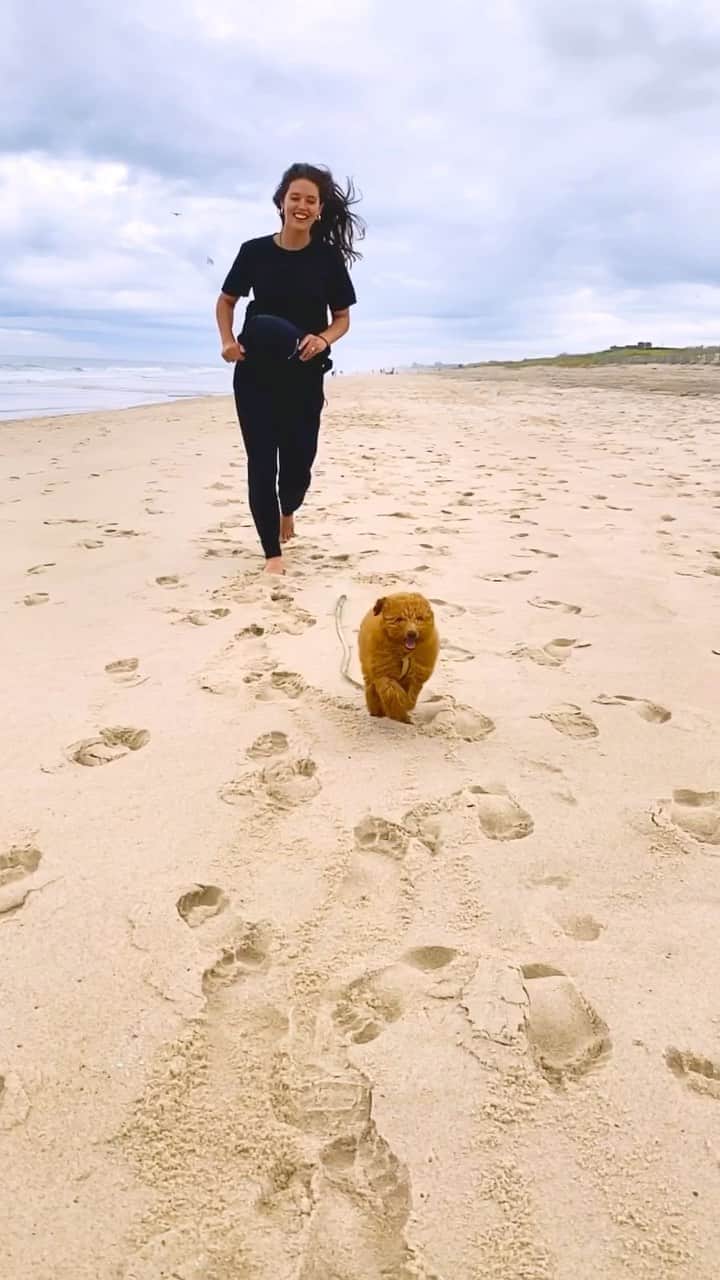 エミリー・DiDonatoのインスタグラム：「Running into the weekend like .. 🐶🏃🏻‍♀️」