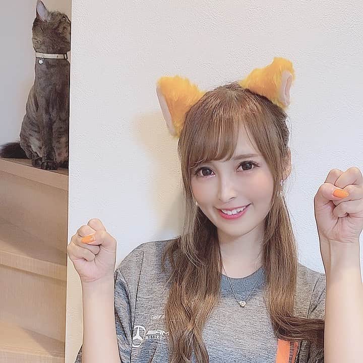 葵井えりかのインスタグラム：「おはぽん！GTのブログ2本立て書きました！ ストーリーから見れるのでぜひ読んでください！！！ 後ろにcatsがいるよ🐱 #supergt #arnagelovelycats#arnageracing#racequeen#gm」