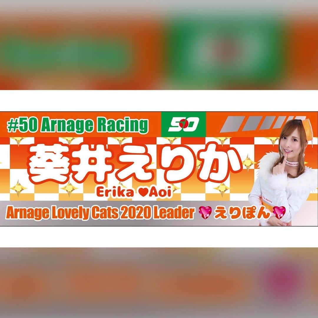 葵井えりかのインスタグラム：「ブログにも載せた 今年の横断幕はこちらっ✨💁‍♀️ . 今年は姫カラーと AMGラインのデザインを入れた 『チームと姫をコンセプトにした横断幕』✨  サーキットでお披露目できなかったのは悲しいけど 今年も想いの詰まった素敵な横断幕を作っていただいて、 本当ありがとうございます🥰 早くチームさんと皆にも観てほしいです！ #arnageracing#racequeen #supergt#横断幕#instagood」