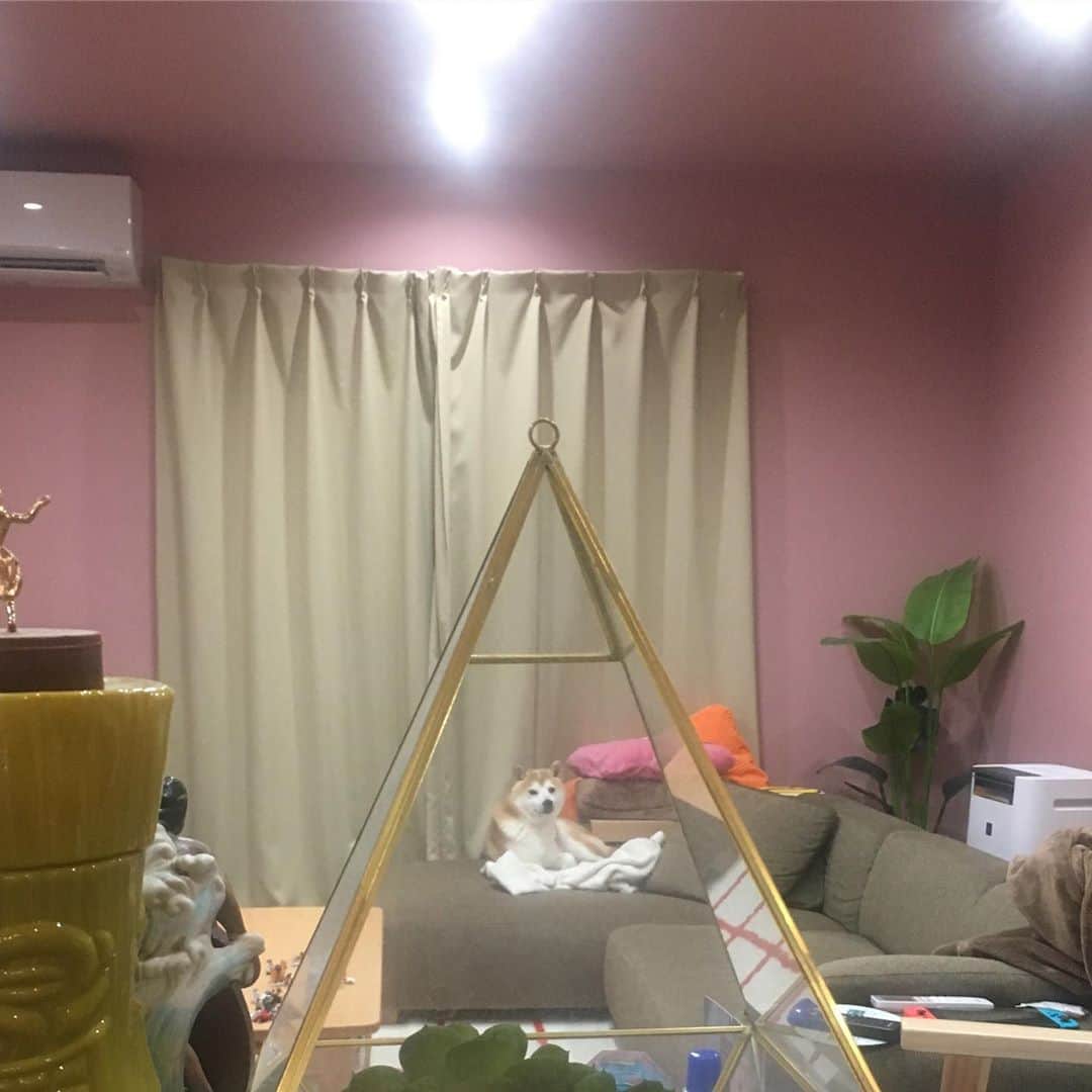 HALFBYのインスタグラム：「フリーメイソン」
