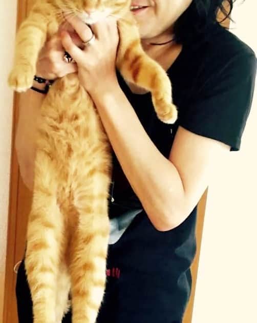 宙也さんのインスタグラム写真 - (宙也Instagram)「8月8日が「世界猫の日」というのをはじめて知りました。NO殺処分。LOVE CATS。」8月8日 19時10分 - chuya_aquarius