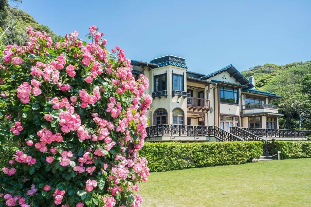 THE GATEのインスタグラム：「【 Kamakura Museum of Literature// #Kamakura 】 The Kamakura Museum of Literature is in Hase, Kamakura City, Kanagawa Prefecture.  l This museum collects, archives, and displays materials about literary people who are associated with Kamakura.  l Besides literature, you can enjoy natural sceneries such as the approach surrounded by green groves, several species of roses in the rose garden, and the view from the mansion overlooking the quiet Kamakura sea.  . ————————————————————————————— ◉Adress 1-5-3 Hase, Kamakura City, Kanagawa Prefecture ————————————————————————————— Follow @thegate.japan for daily dose of inspiration from Japan and for your future travel.  Tag your own photos from your past memories in Japan with #thegatejp to give us permission to repost !  Check more information about Japan. →@thegate.japan . #japanlovers #Japan_photogroup #viewing #Visitjapanphilipines #Visitjapantw #Visitjapanus #Visitjapanfr #Sightseeingjapan #Triptojapan #Instatravelers #Instatravelphotography #Instatravellife #Instagramjapanphoto #flowerphotos  #꽃밭 #TamanBunga #jardindeflores  #explore_floral #Japanesegardens #mawar #玫瑰花 #rosasrosas #장미꽃 #장미축제 #kamakuragram #kamakurajapan #kamakuramuseum #kamakuraflowers」