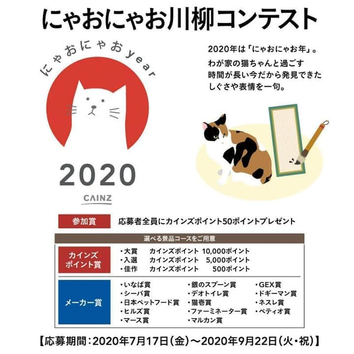 カインズさんのインスタグラム写真 - (カインズInstagram)「【にゃおにゃお川柳コンテスト開催中】  2020年は「にゃおにゃお年」。 カインズの『にゃおにゃお2020』キャンペーンでは、猫ちゃんと飼い主さんのHappyな暮らしをサポートするグッズや、猫ちゃんとの生活がもっと楽しくなるイベントを開催しています。  現在、第2弾イベント「にゃおにゃお川柳コンテスト」を開催中♩ユニークな川柳やかわいい猫ちゃんの投稿を続々といただいています！ かわいい表情や面白いしぐさ、エピソードなど猫ちゃんに関する川柳を、ぜひお寄せください。  開催期間：2020年7月17日(金)～9月22日(火)  詳しくはカインズホームページ内「にゃおにゃお特設ページ」にてご確認ください。https://3day.pet/cainz/nyaonyao2020/senryu/ 皆様のご応募をお待ちしております。  #cainz #cainzhome #カインズ #カインズホーム #くらしにららら #にゃおにゃお年   #2020 #2020年 #猫 #ねこ #ペット #コンテスト #川柳 #川柳コンテスト #にゃんすたぐらむ #ねこすたぐらむ #キャンペーン #キャンペーン実施中 #応募 #プレゼント #プレゼントキャンペーン #おうち時間 #ねこのいる生活 #猫のいる暮らし #猫好きさんと繋がりたい #猫好き #猫との暮らし #猫部 #川柳好きな人と繋がりたい #世界猫の日」8月8日 12時00分 - cainz_official