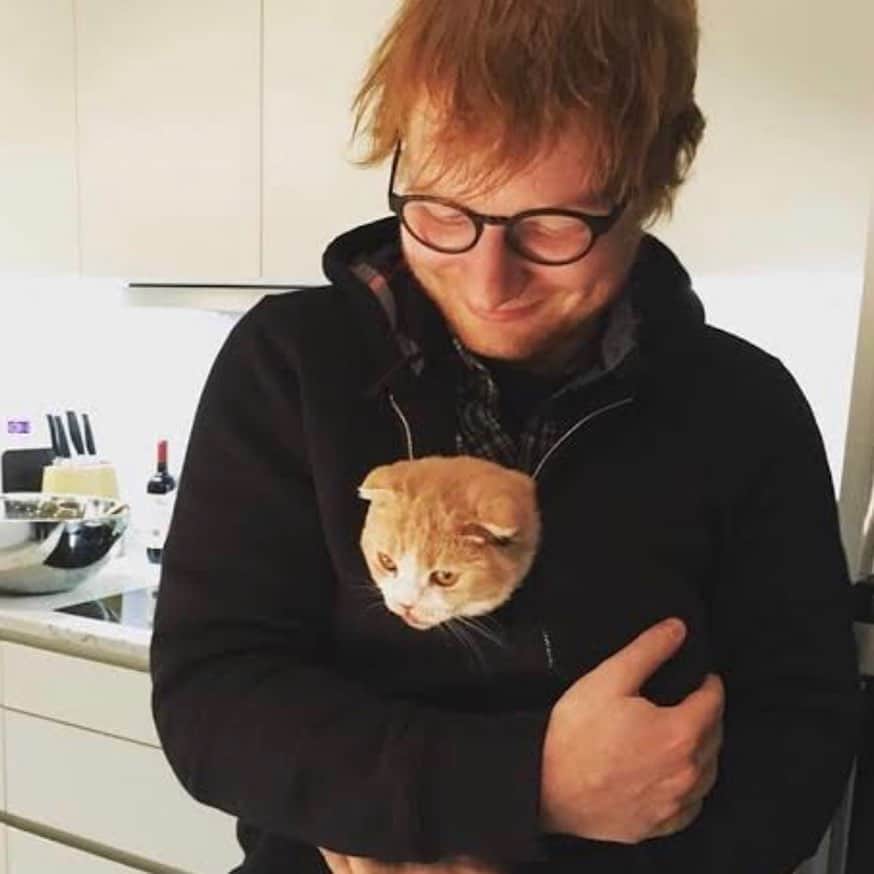 ワーナーミュージック・ジャパン洋楽のインスタグラム
