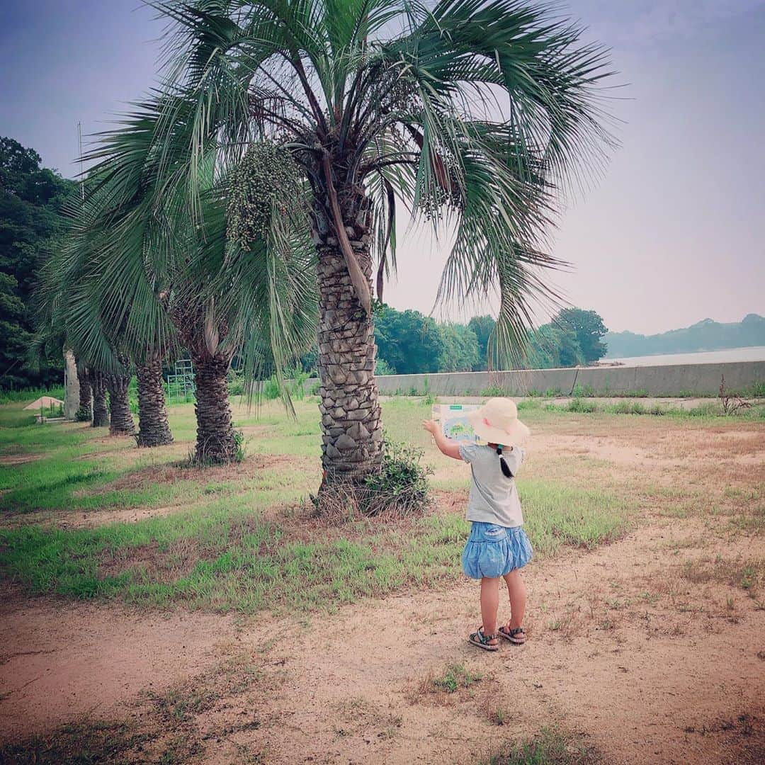 山内智恵のインスタグラム