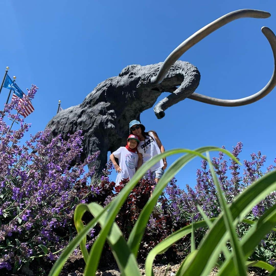 上田ユキエさんのインスタグラム写真 - (上田ユキエInstagram)「🇺🇸🐘 夏のマンモス  #mammothmountain #summer #momandson  #アメリカ生活#マンモスマウンテン#ママライフ#スノーボーダー」8月8日 12時36分 - yukie_ueda