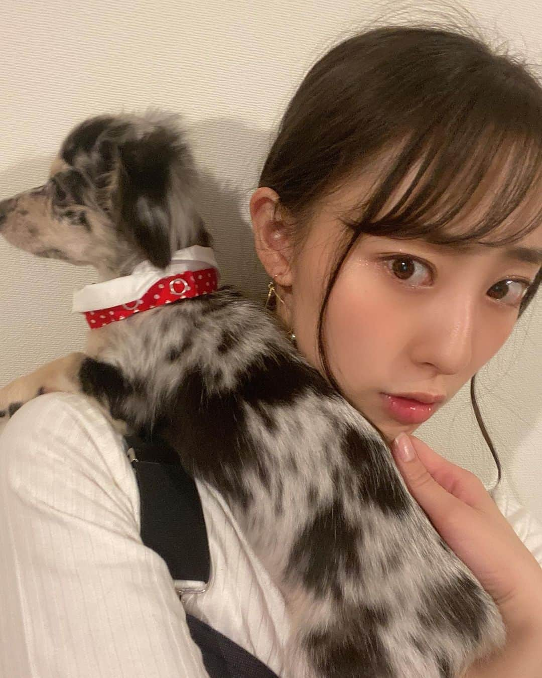 藤江れいなさんのインスタグラム写真 - (藤江れいなInstagram)「♡ 今日もこれから稽古です🥰 昨日から通しも始まったし、気を引き締めて頑張ってきます🌟 ・ ・ 📷🐶(@ane.love0328 )  #知恵と希望の極悪キノコ #知恵キノコ #チワックス　#シルバーダップル #チワックス倶楽部 #いぬのいる暮らし」8月8日 12時45分 - 01nyan0201