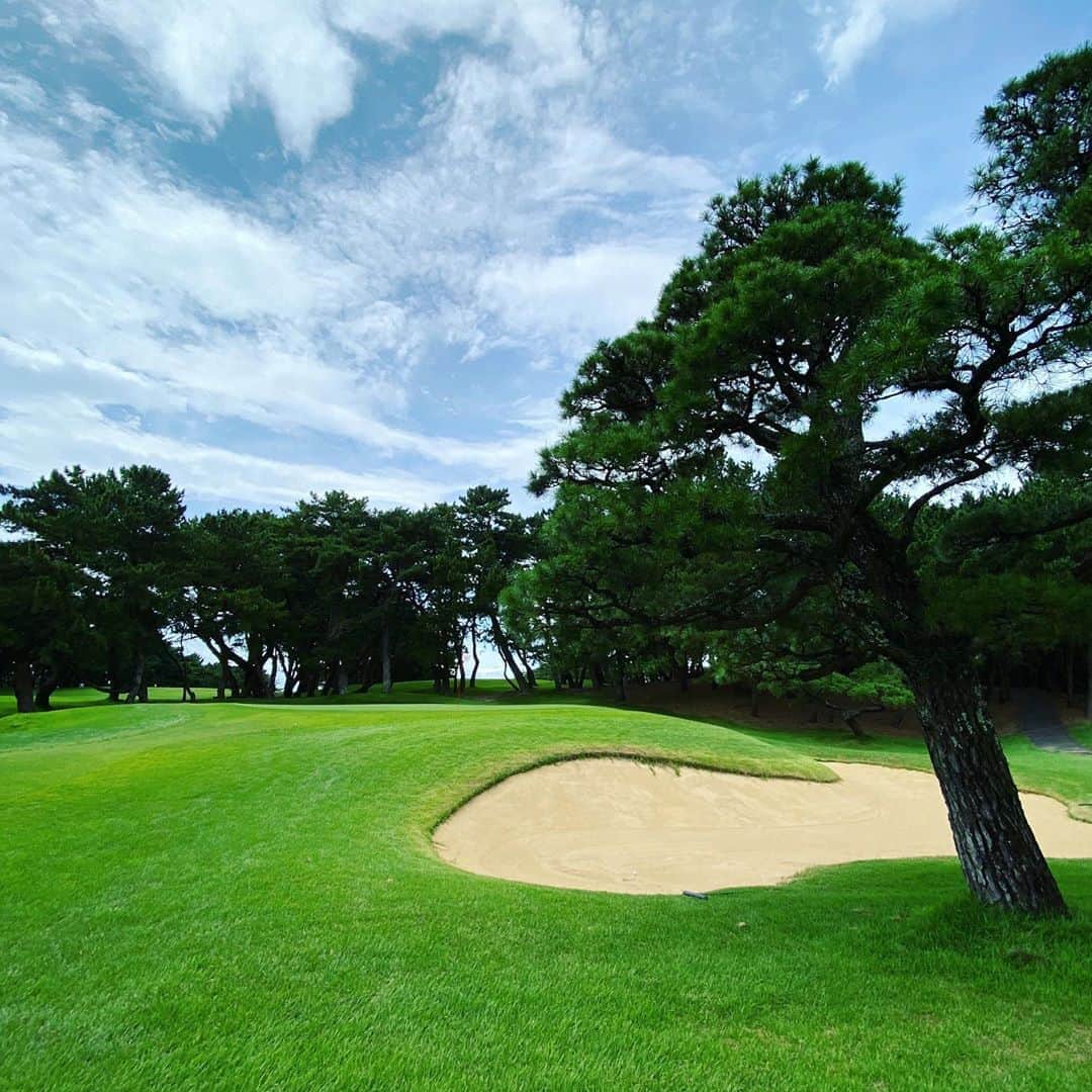 TOGGYのグルメインスタ